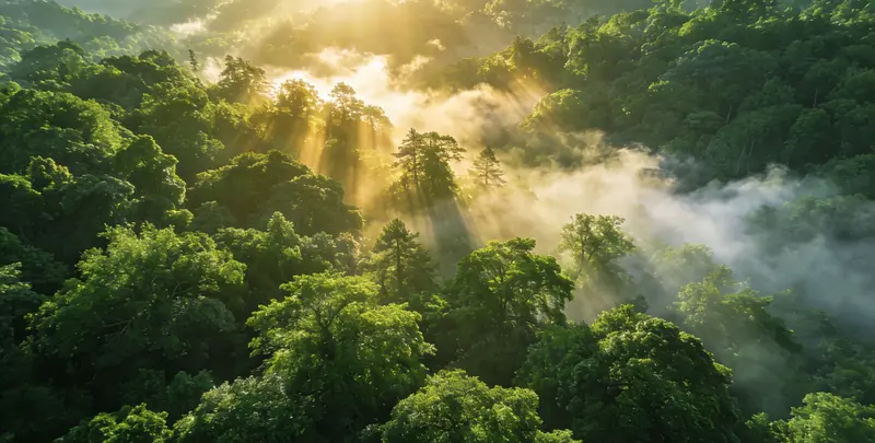 洛阳肺癌靶向120基因检测及PDL122C3表达检测套餐（组织）图片1
