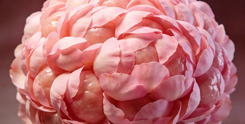 洛阳BRCA1/2乳腺癌卵巢癌基因检测图片1